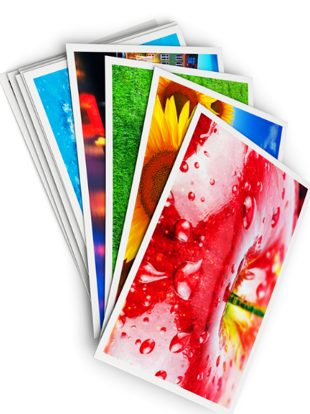 Self Adhesive Glossy Vinyl